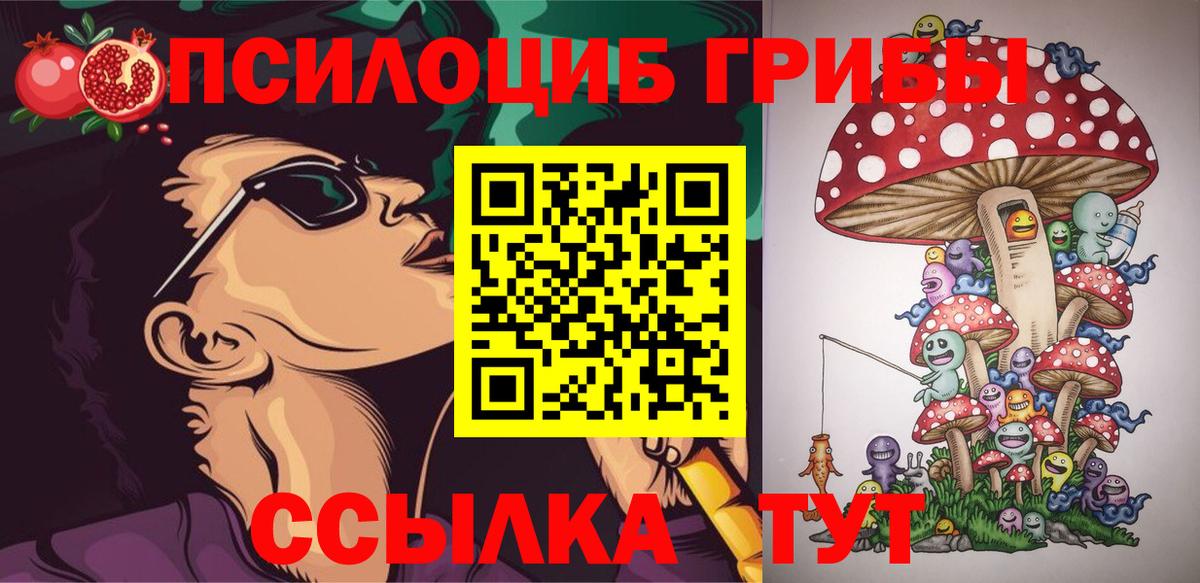 Галлюциногенные грибы MAGIC MUSHROOMS  Псилоцибиновые грибы Psilocybine cubensis  Серов  Вход с VPN 