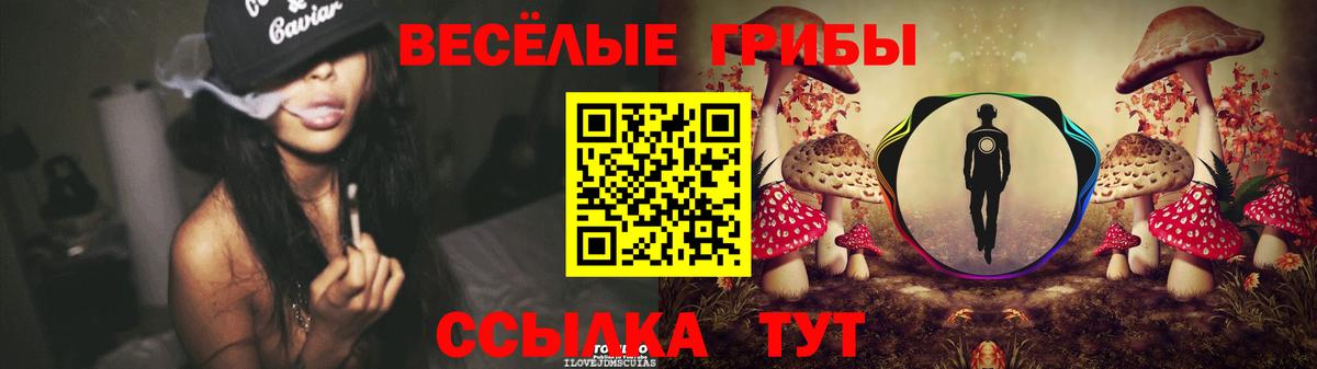 Псилоцибиновые грибы прущие грибы Серов